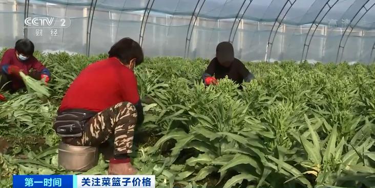 PE波纹管 第200页