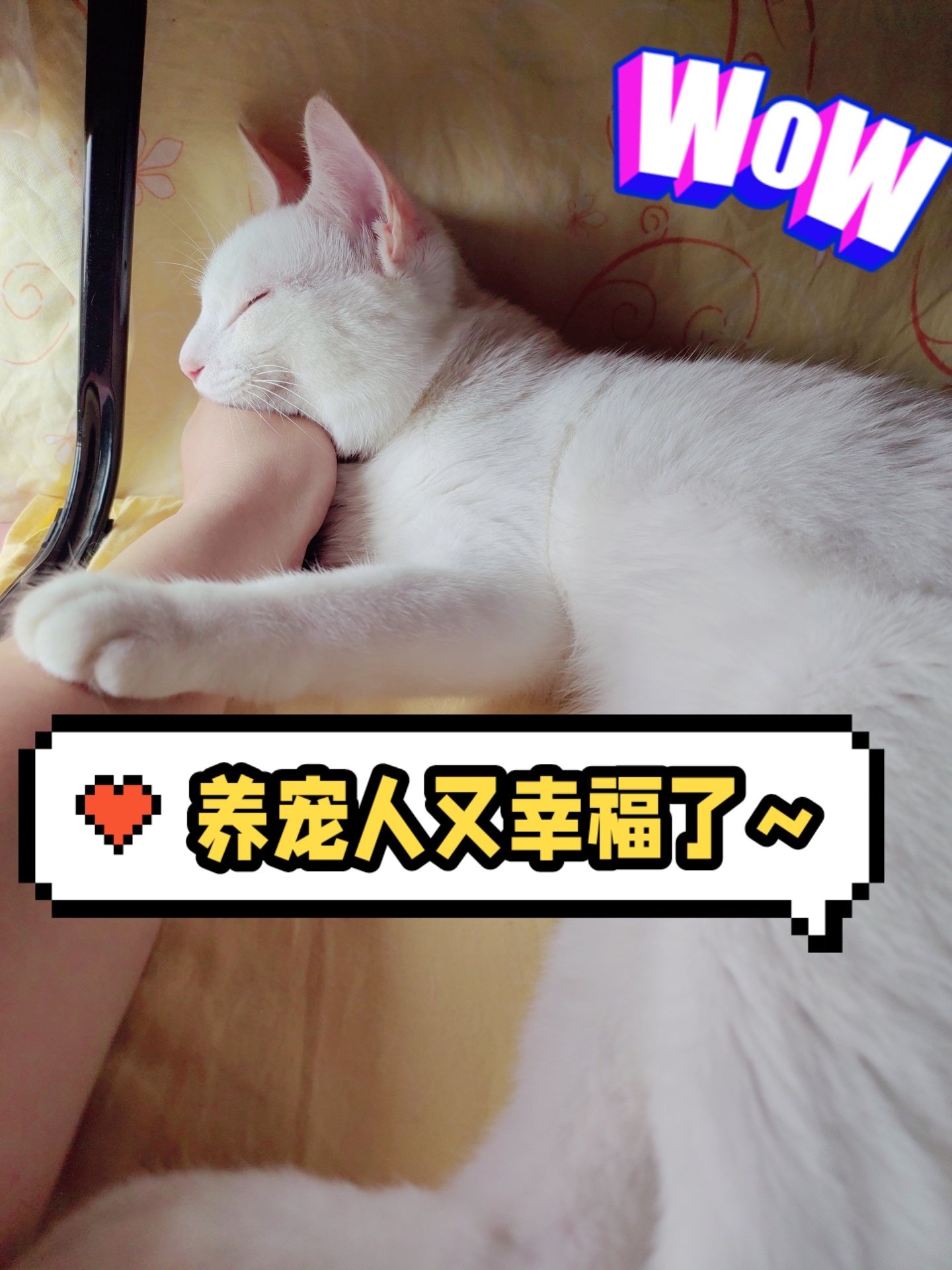 第971页