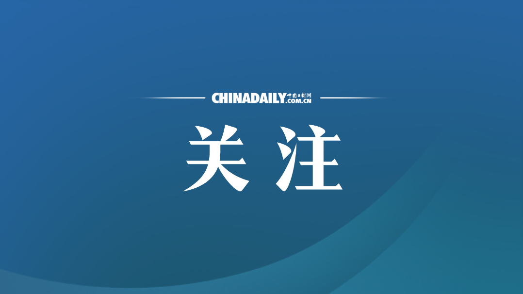 国网最新要闻，数字化转型的机遇与挑战解析