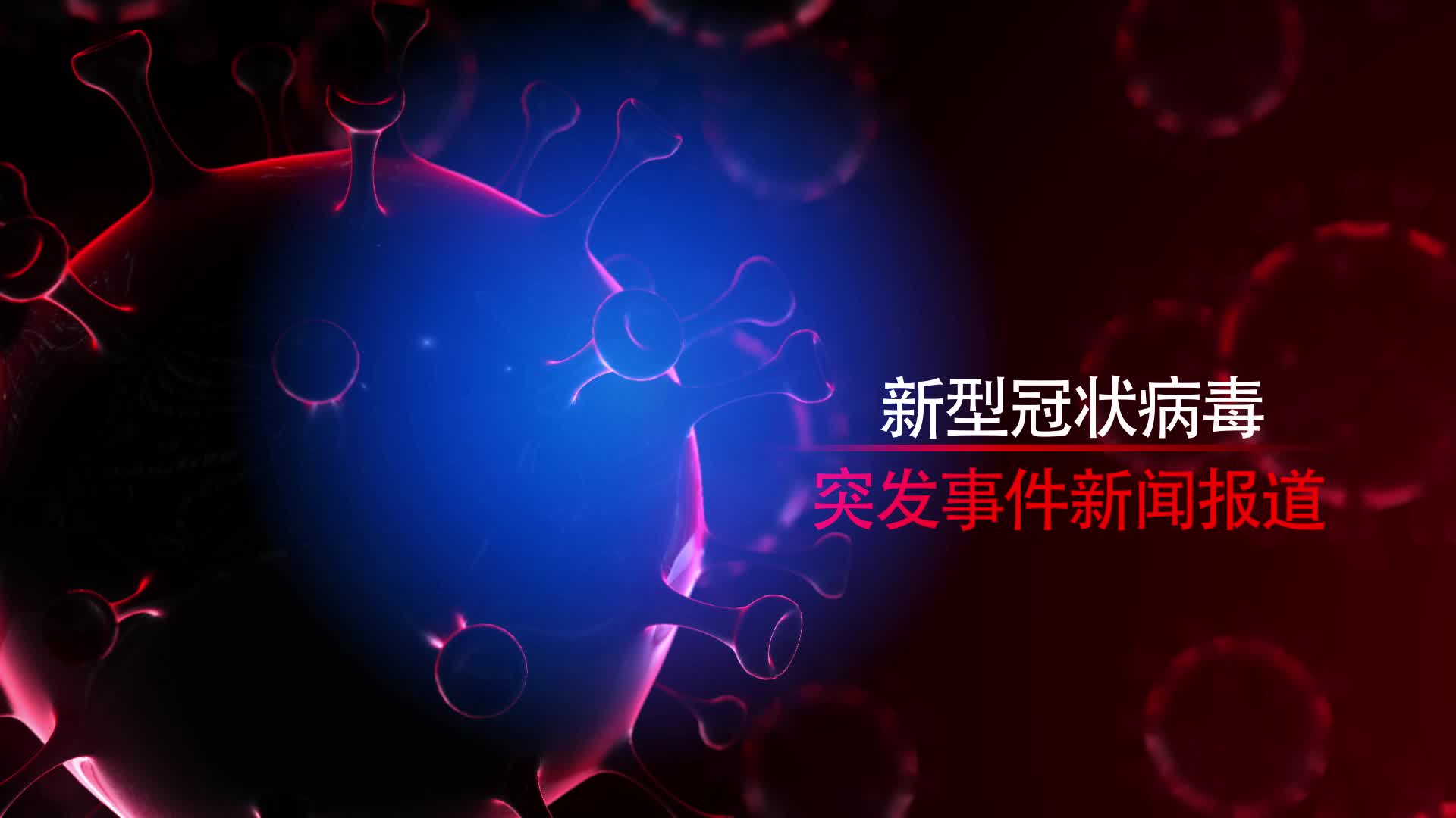 温馨日常小故事，新型冠毒疫情下的希望之光