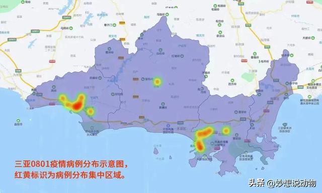海南最新疫情动态，防护指南与应对步骤全解析