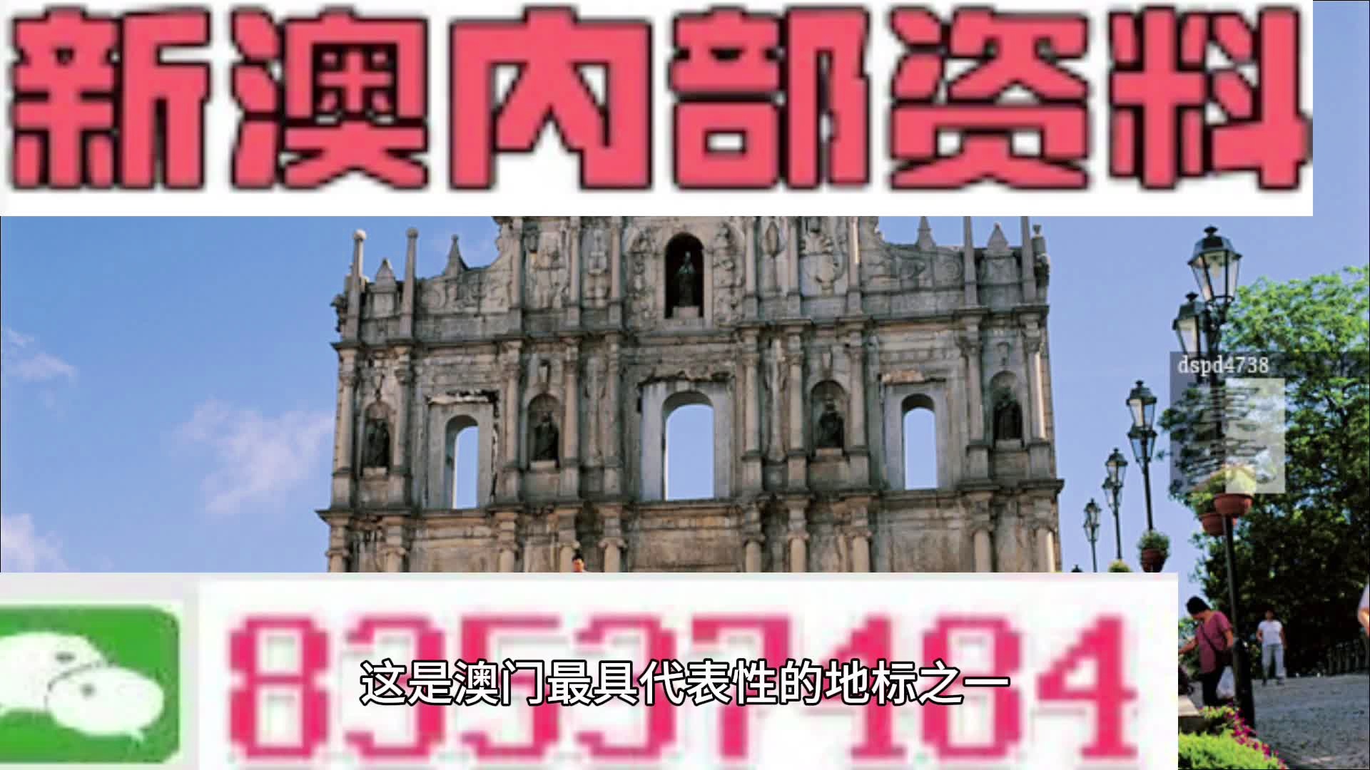 新澳最新最快资料新澳85期,统计数据详解说明_职业版15.950