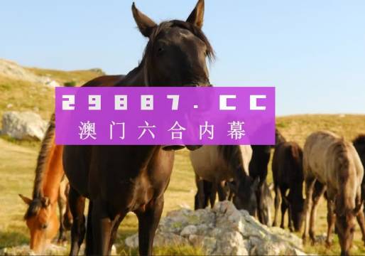 澳门管家婆一肖一码一中一,实时分析处理_装饰版73.153