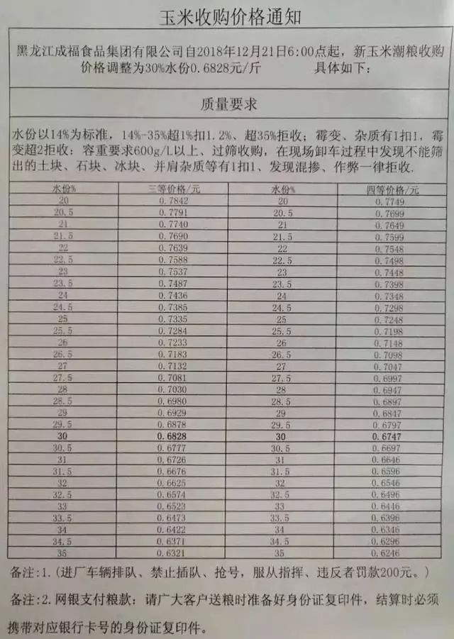 最新玉米价格行情更新
