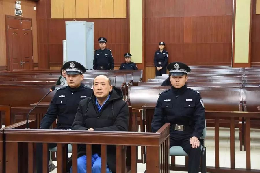 广西林业蒋勇的最新探索，自然美景的治愈之旅